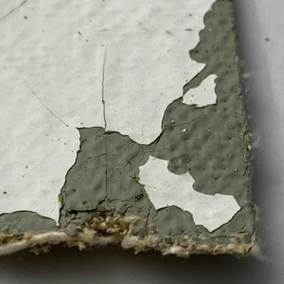Revêtement mural Stramin avec amiante dans la peinture et dans la colle, Solgeo